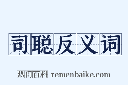 司聪反义词是什么意思的图片